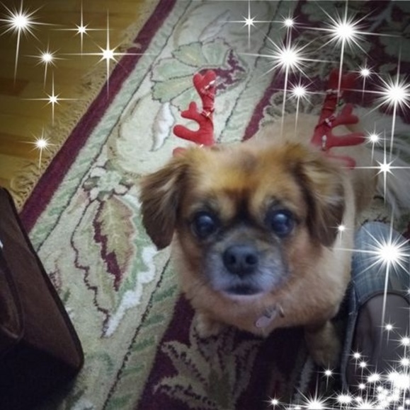 Meet your Posher, Margaret - Picture 1 of 1